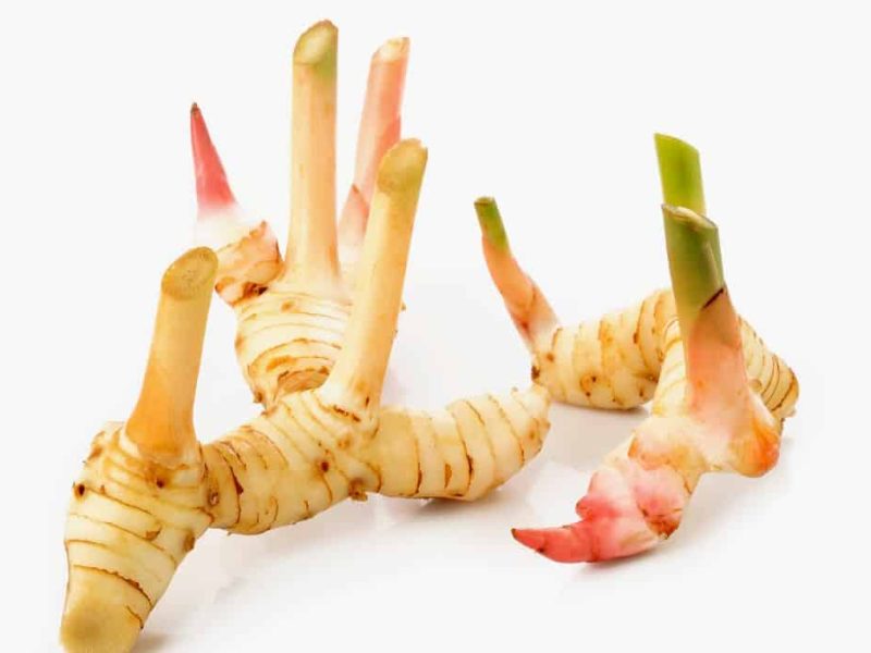 Galangal