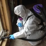 Mold Remediation